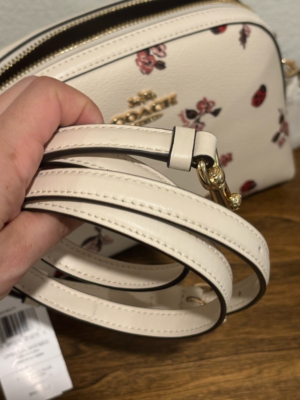 Coach Floral & Ladybug Print Crossbody Bag - Cream, Red, Pink - Picture 12 of 15